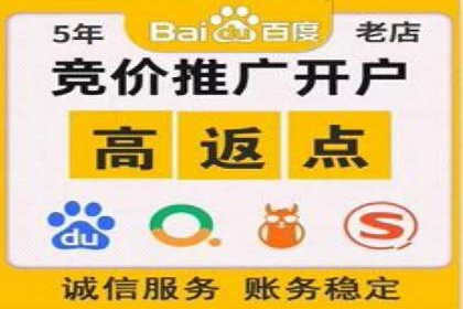 百度搜索推广实战：经典案例深度剖析